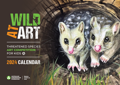 ACF Wild at Art 2024 Calendar